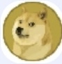 脉动vpn（狗云）